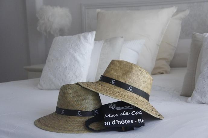 Guesthouse Le Mas De Котиняк Екстериор снимка